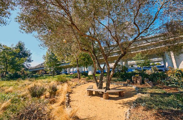Progress Park